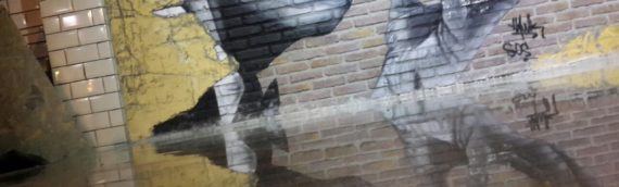 Kafeteryalarda Beton Parlatma Uygulaması